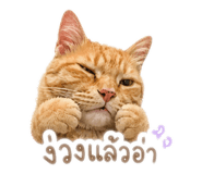858468331