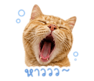 858468332