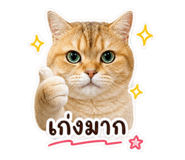 858468365