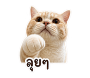 858468369