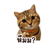 858468370