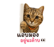 858468372
