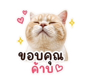 858468376