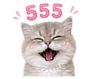 858468714