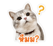 858469574