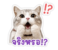858469576