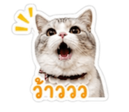 858469577
