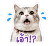 858469583