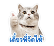 858469584