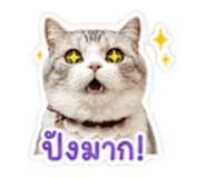 858469585