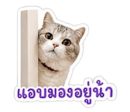 858469590