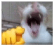 858470837