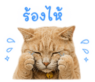 858472511