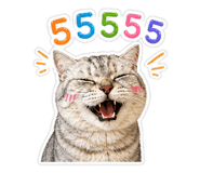 858472977