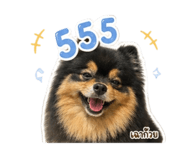 858473164