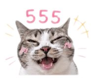 858473342
