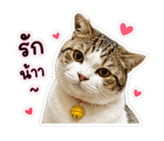 858473450
