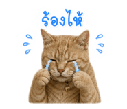 858473584