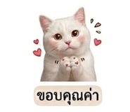 858473618