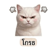 858473626