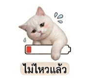 858473628