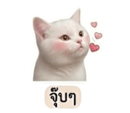 858473629