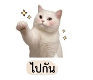 858473631