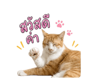 858474257