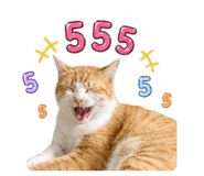 858474258