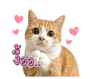 858474266