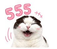 858476314