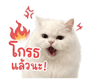 858476315