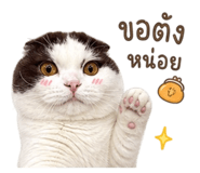 858476324