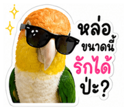 858476450