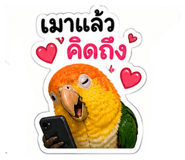 858476459