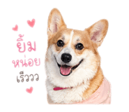 858478452