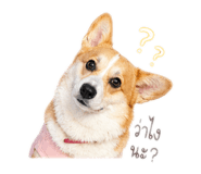 858478453