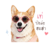 858478454