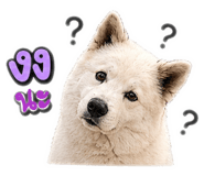 858481771