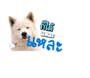 858481775