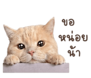 858482322