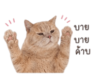 858482328