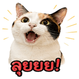 858482591