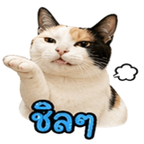 858482595