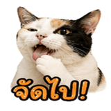 858482596
