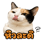 858482601