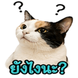 858482603