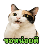 858482606