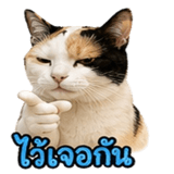 858482611