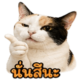 858482612